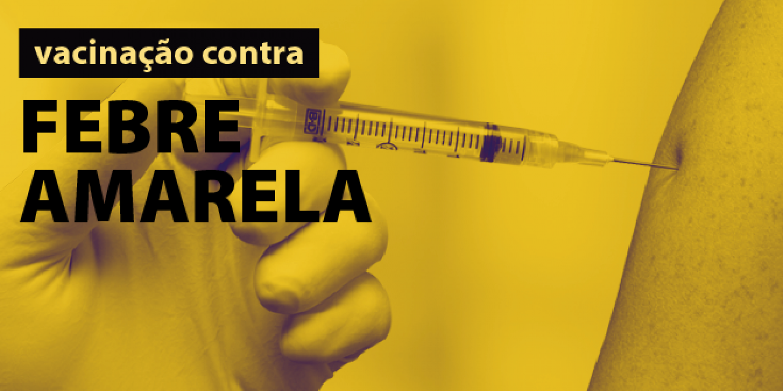 Aumenta a procura pela vacina contra febre amarela