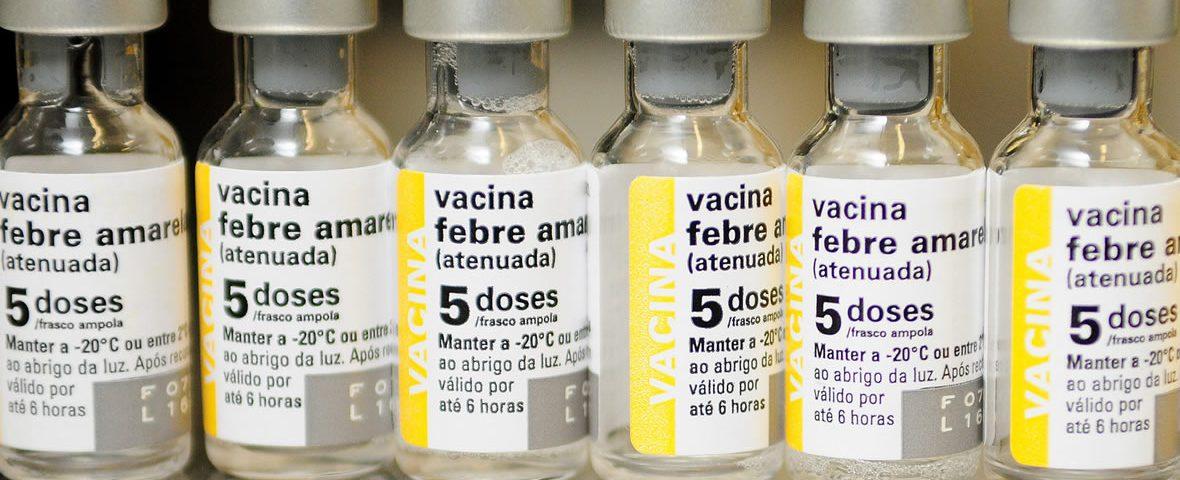 Hoje é o Dia D da vacinação contra a febre amarela